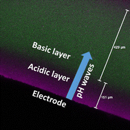 Electrochemically Generated Interfacial pH Change: Application to