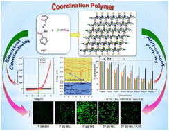 Designing of a Zn(ii)-isonicotinohydrazido thiophenyl based 2D ...