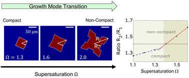 Phase field modelling of crystal growth of NaCl in two dimensions ...