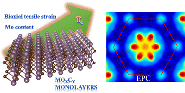 Prediction of Superconductivity in Porous, Covalent Triazine