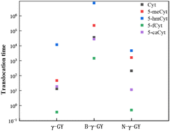 Ab initio studies on graphyne (GY) for the detection of rare bases in ...