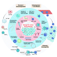 Bioengineered nanogels for cancer immunotherapy - Chemical Society ...