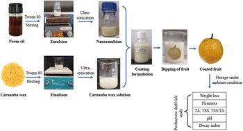 Effects of organoclay-carnauba wax and two commercial waxes coatings on