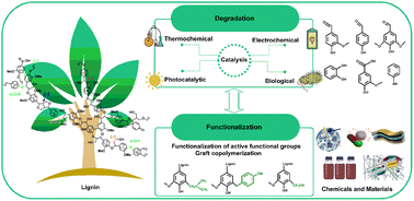 Lignin to value-added chemicals and advanced materials: extraction