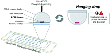 Hanging drop sample preparation improves sensitivity of spatial ...