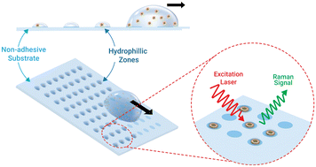 Non-adhesive contrast substrate for single-cell trapping and Raman  spectroscopic analysis - Lab on a Chip (RSC Publishing)
