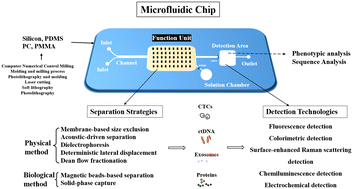 Recent advances for cancer detection and treatment by microfluidic  technology, review and update, Biological Procedures Online