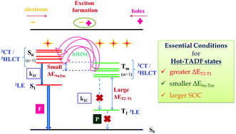 Theoretical insights into molecular design of hot-exciton based