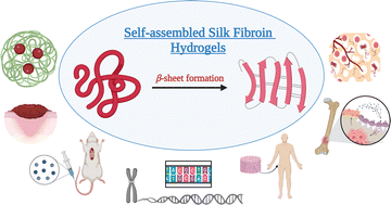 Self-assembled silk fibroin hydrogels: from preparation to biomedical  applications - Materials Advances (RSC Publishing)