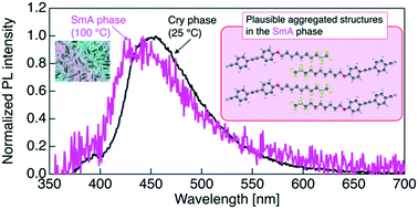 Effect of fluorine atoms in flexible chains on the phase