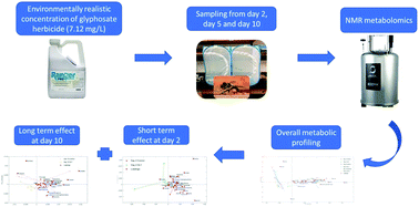 Metabolomic Analysis Of Honey Bee (Apis Mellifera L.) Response To ...