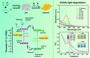 Fast photodegradation of antibiotics and dyes by an anionic  surfactant-aided CdS/ZnO nanodispersion - New Journal of Chemistry (RSC  Publishing)