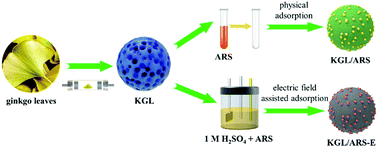 Redox molecule Alizarin red S anchored on biomass-derived porous carbon ...