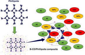 Adsorption Mechanism of Perfluorooctanoate on Cyclodextrin-Based