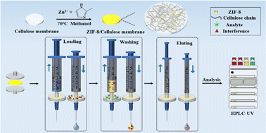 Hierarchically porous zeolitic imidazole framework-8/cellulose membrane ...