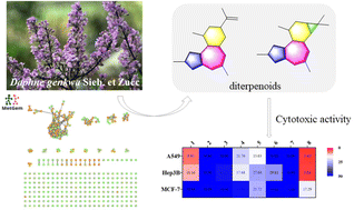 Isolation Of Cytotoxic Daphnane-type And Tigliane-type Diterpenoids ...