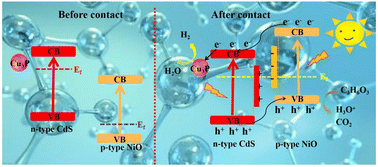 Co-catalyst and heterojunction dual strategies to induce photogenerated ...