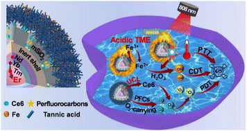 An engineered cascade-sensitized red-emitting upconversion nanoplatform ...