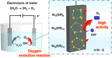 Improved activity for the oxygen evolution reaction using a tiara