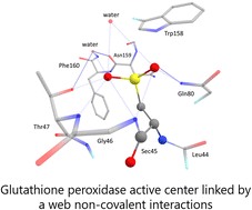 glutathione activity Glutathione Peroxidase Activity Colorimetric Assay Kit - Enzyme Activity  Detection main image 1
