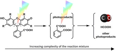 common-xanthene-fluorescent-dyes-are-visible-light-activatable-co