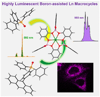 Highly symmetric Ln(iii) boron-containing macrocycles as bright ...