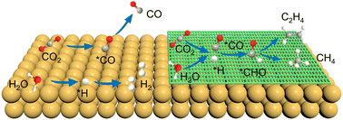 Steering CO2 electroreduction selectivity towards CH4 and C2H4 on