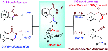 Metal Mediated Synthesis of 2‐thiazolines: Access to Regio‐ and  Stereoselective N,S‐heterocycles - Popy - 2021 - ChemistrySelect - Wiley  Online Library