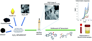 Innovative electrochemical electrode modified with Al2O3 nanoparticle ...