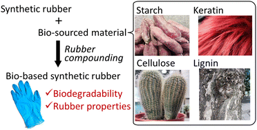 How is rubber made? - ERCA - Natural and synthetic rubber