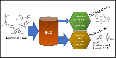 New insights into the base catalyzed depolymerization of technical ...