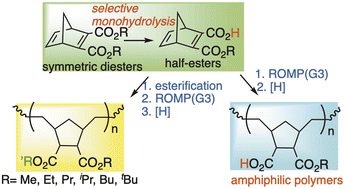 Synthesis of polynorbornadienes by ring-opening metathesis