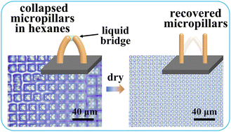 Effectiveness of organic solvents for recovering collapsed PDMS ...