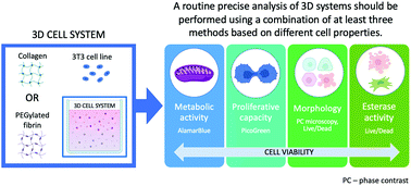 3D or not 3D: a guide to assess cell viability in 3D cell systems ...