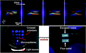 Liquid crystal microcapillary-based sensors for affordable analytical ...