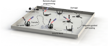 Magnetic hotsell soft robot