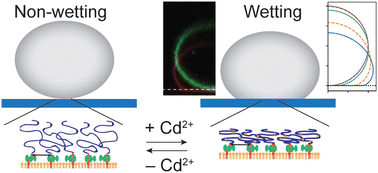 Modulation of wetting of stimulus responsive polymer brushes