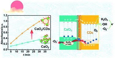 Carbon dot-boosted catalytic activity of CaO2 by tuning visible light ...