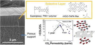 Thin film nanocomposite membranes of superglassy PIM-1 and amine ...