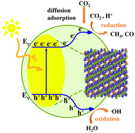 3D porous flower-like CoAl2O4 to boost the photocatalytic CO2 reduction ...