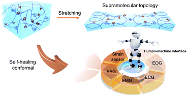 Human stretching online machine