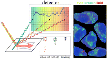 Differentiability of cell types enhanced by detrending a non