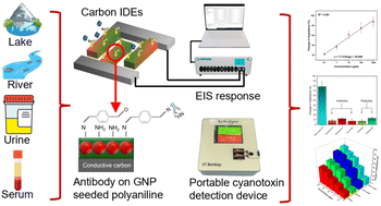 A portable EIS-based biosensor for the detection of microcystin-LR ...