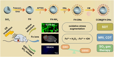 niacin glutathione Glutathione System from Cyanobacteria to Higher Eukaryotes