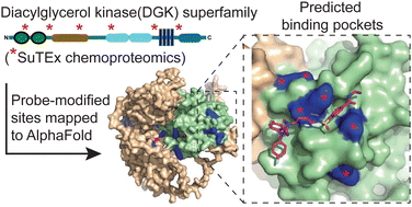 diacylglycerol structure