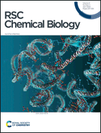 Front Cover - RSC Chemical Biology (RSC Publishing)