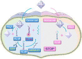 Endogenous glutathione-activated DNA nanoprobes for spatially controllable  imaging of microRNA in living cells