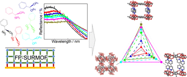 Optical sensor array of chiral MOF-based Fabry–Pérot films for ...