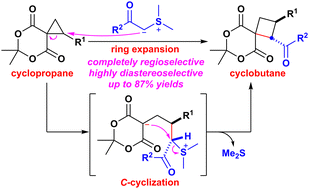 Ring expansion of spirocyclopropanes with stabilized