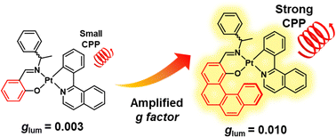 *K*ページ Circularly polarized phosphorescence with a large